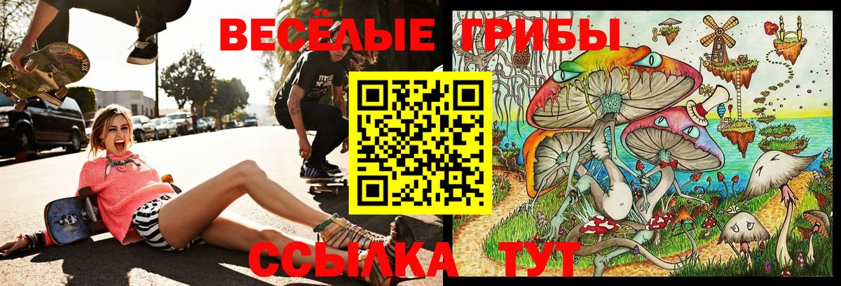 Галлюциногенные грибы MAGIC MUSHROOMS Иваново