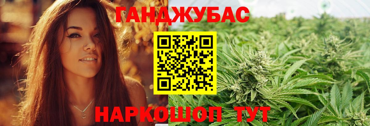 Конопля семена  Бошки Шишки планчик  Иваново  Вход с VPN 